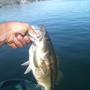 Meet your Posher, Ricky